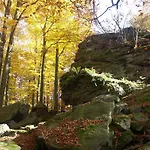 Apartmán Zelená Zahrada *