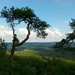 Zelena Zahrada Mlada Vozice
