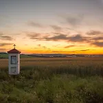 Zelena Zahrada Mlada Vozice
