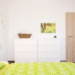 Zelená Zahrada Apartmán *