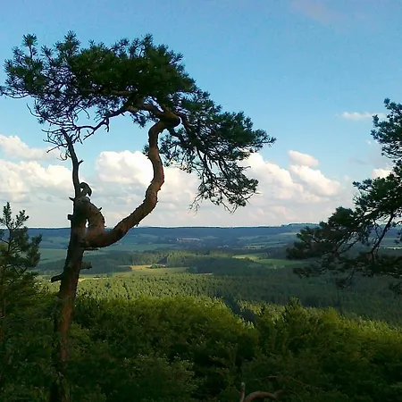 Zelena Zahrada Mlada Vozice